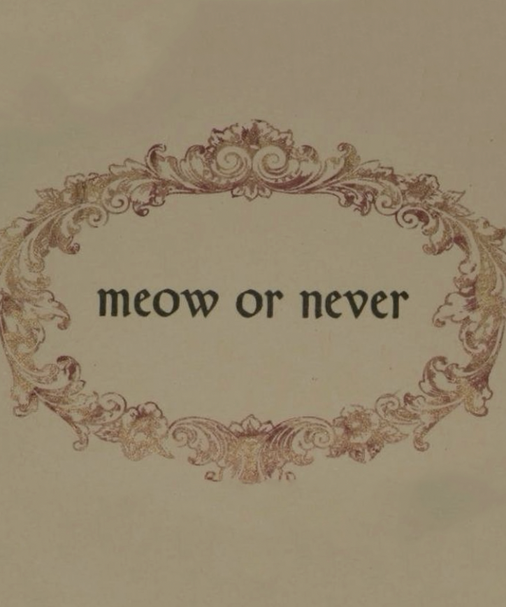 Now or Never